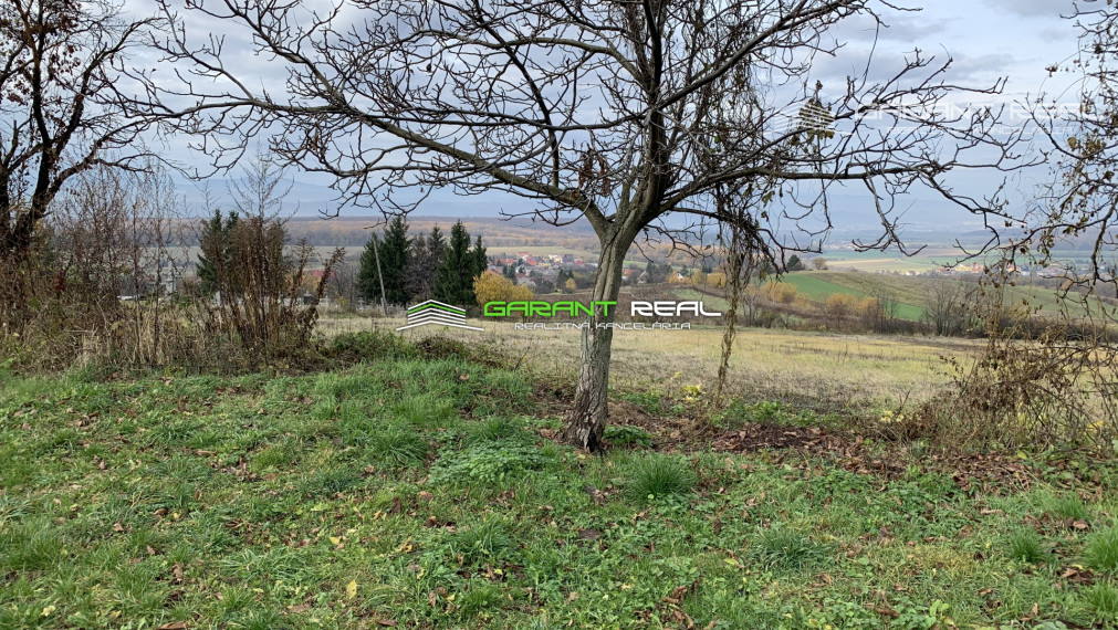 GARANT REAL predaj pozemok 15800 m2, Abranovce, okr. Prešov