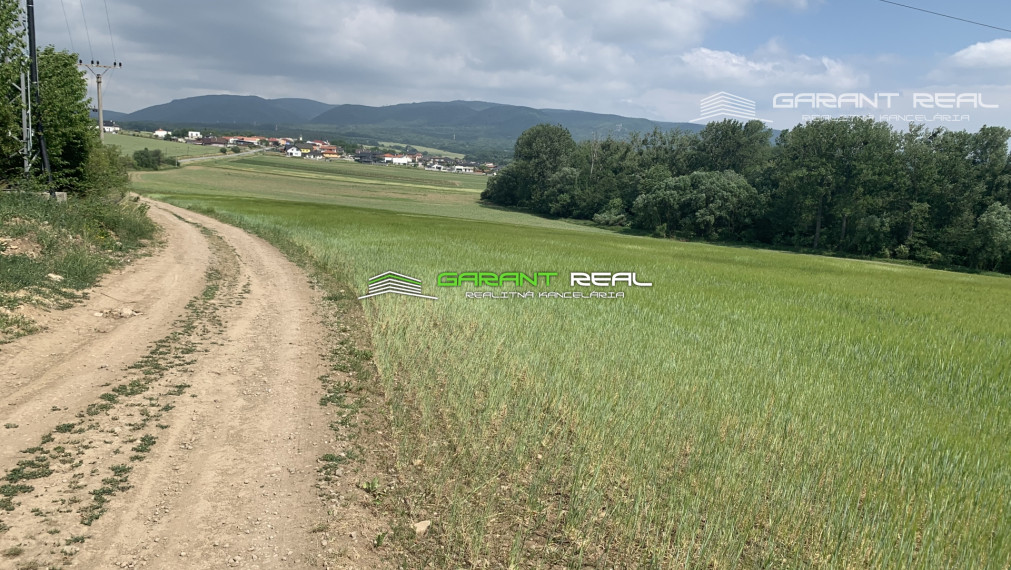 GARANT REAL - predaj záhradky 260 m2 - 430 m2, Prešov, Solivar