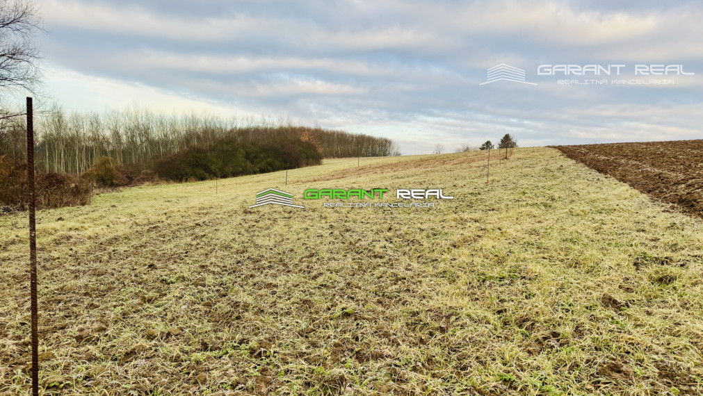 GARANT REAL - predaj záhradky 260 m2 - 430 m2, Prešov, Solivar