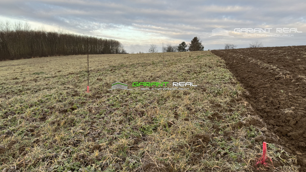 GARANT REAL - predaj záhradky 260 m2 - 430 m2, Prešov, Solivar