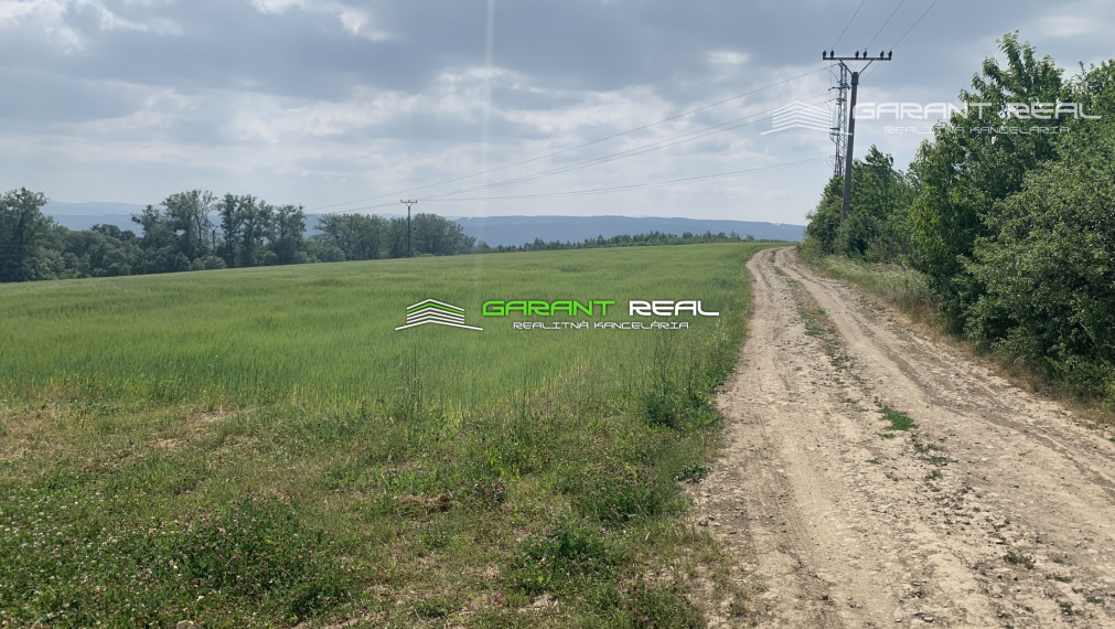 GARANT REAL - predaj záhradky 260 m2 - 430 m2, Prešov, Solivar