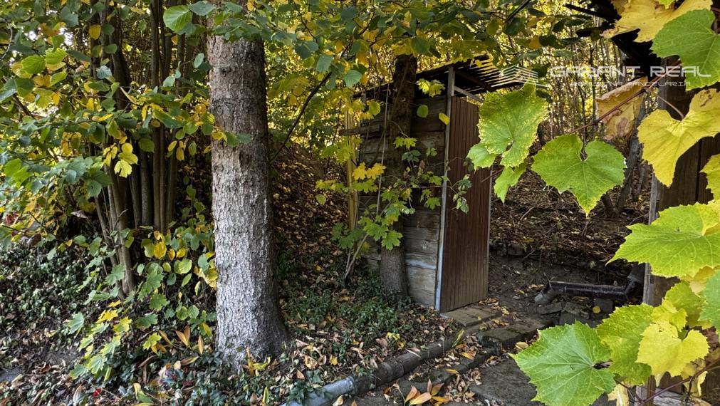 GARANT REAL - predaj záhradka 400 m2, s chatkou, vlastnou studňou a pivnicou, Prešov, Pod Wilec hôrkou